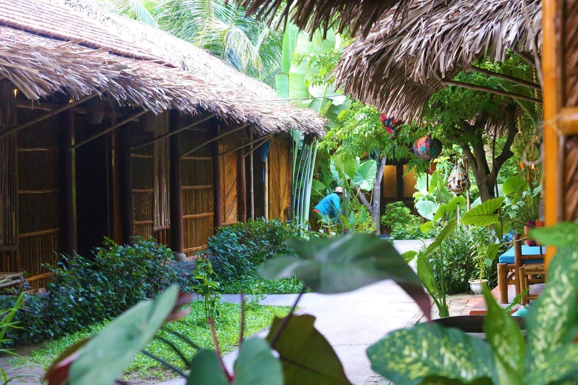 Under The Coconut Tree Hotel Hoi An Bagian luar foto